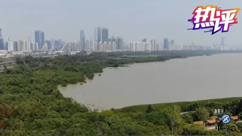 香港和宝典宝典资料大全