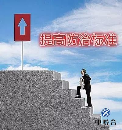 香港和宝典宝典资料大全