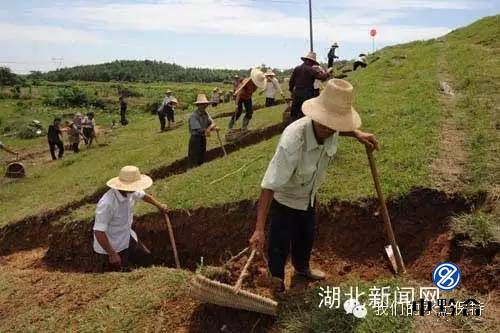 香港和宝典宝典资料大全